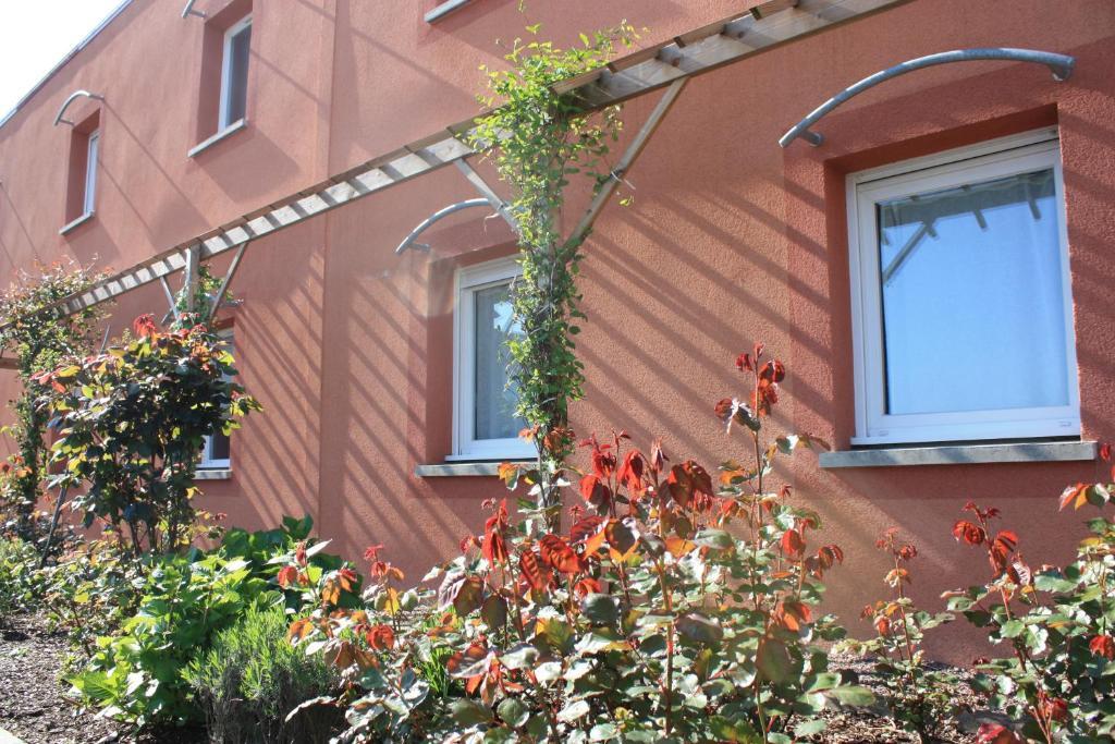 The Originals Boutique Hotel Spa Beuzeville Honfleur Sud מראה חיצוני תמונה